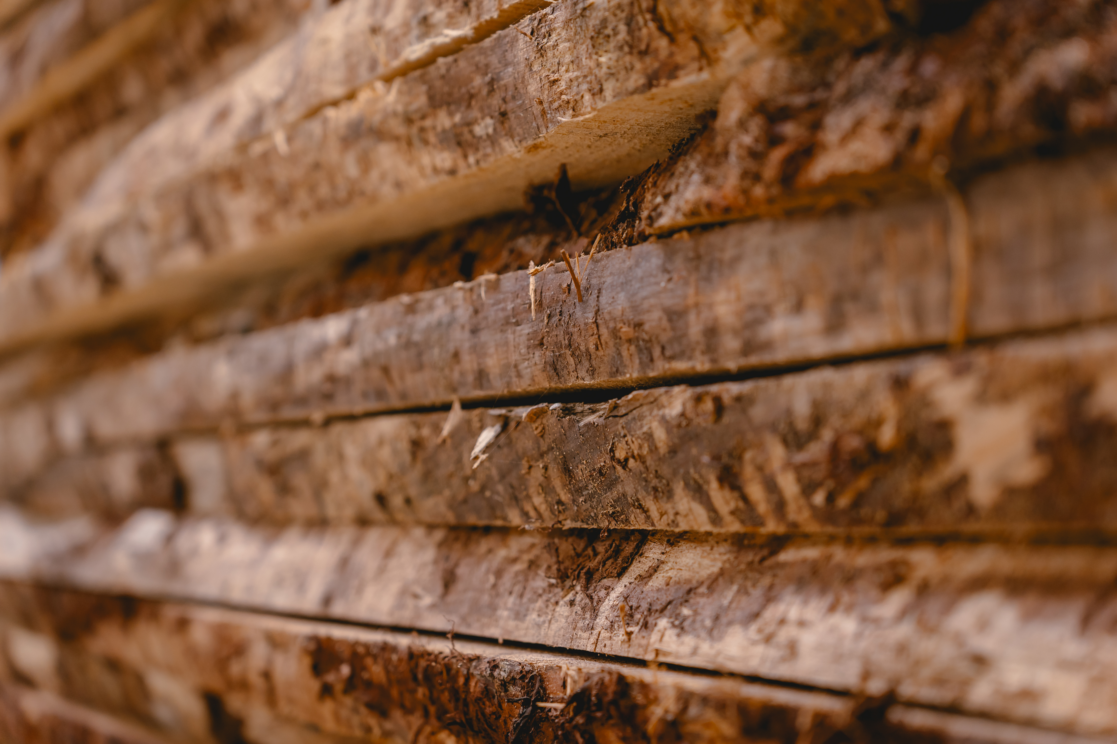 A Curadoria do Conforto