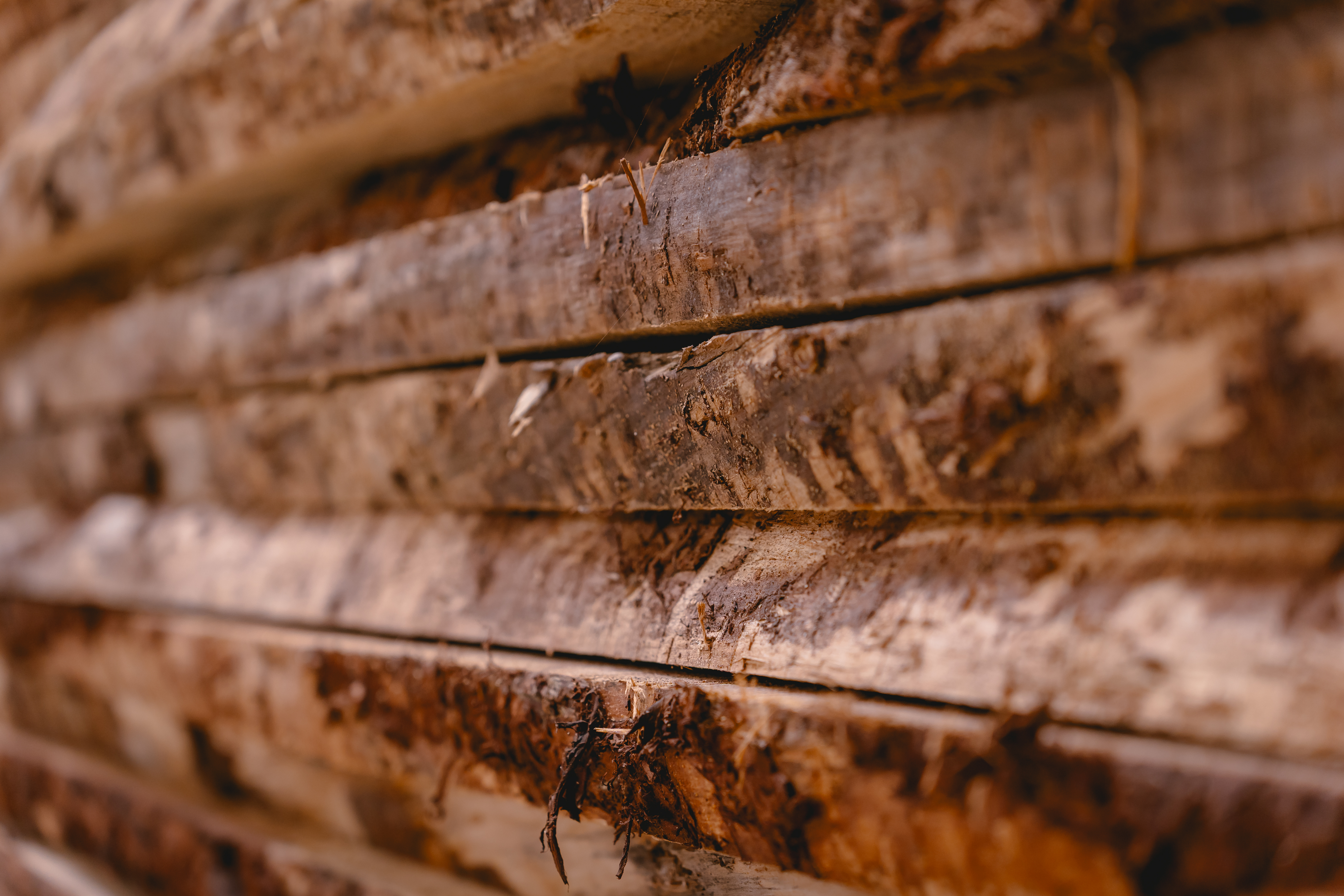 A Arquitetura da Sua Marca